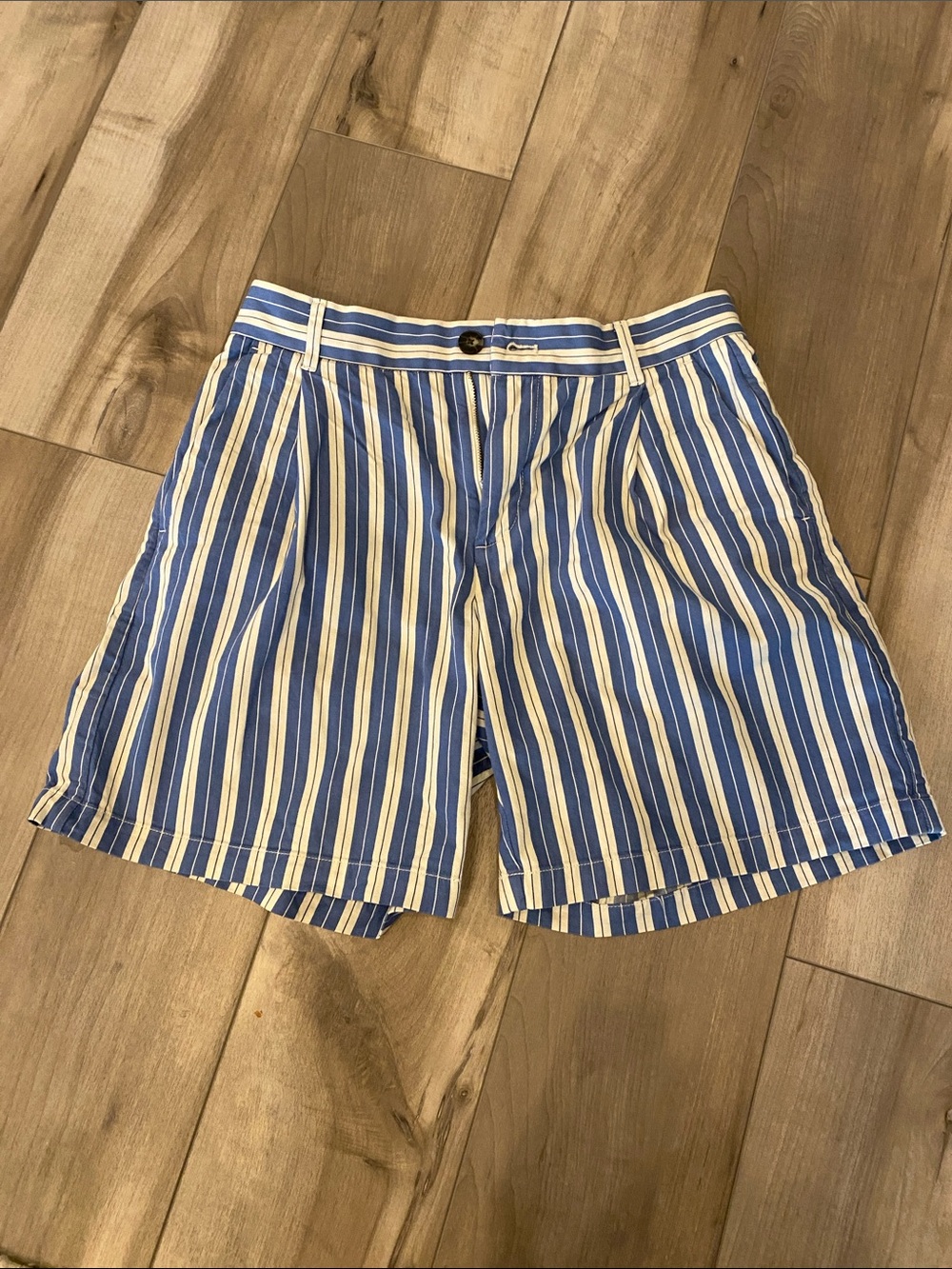 Everlane Striped Cotton Shorts size 6.